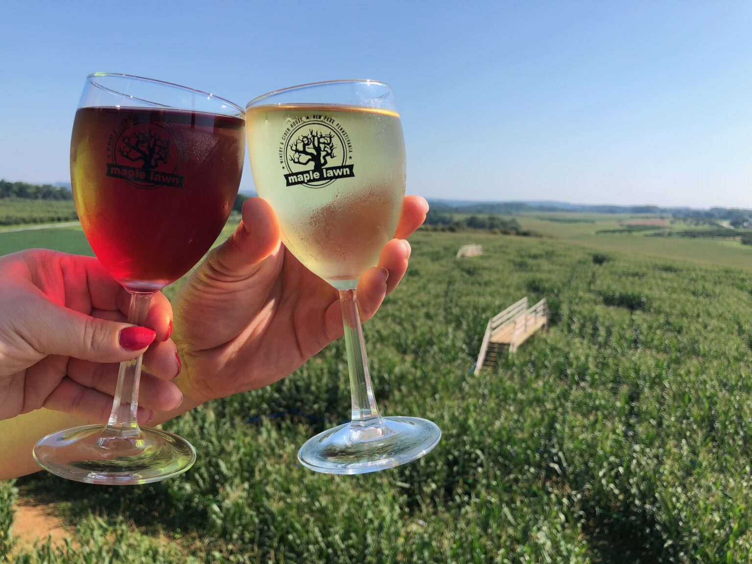 Maple Lawn Winery WIne glasses and field in background